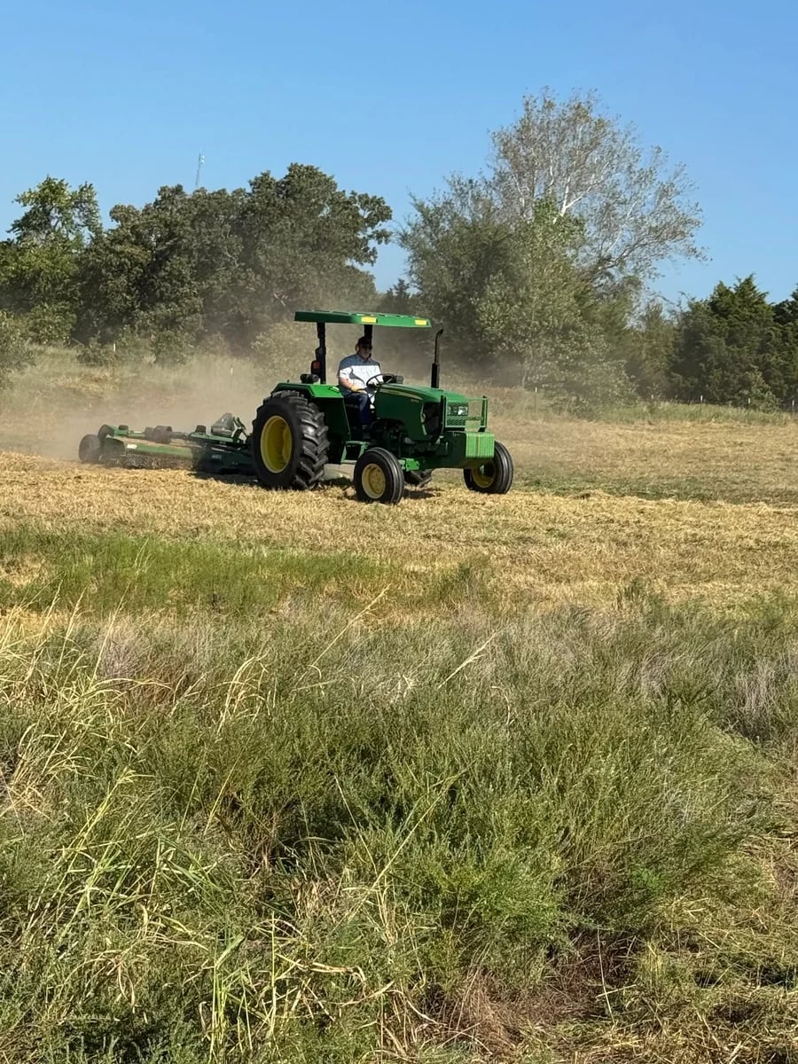 A green tractor brush hogging tall grass in an open field, with trees behind.