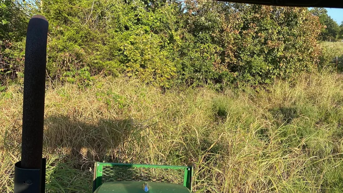 The view over a green tractor’s hood into tall grass and brush along a tree line.