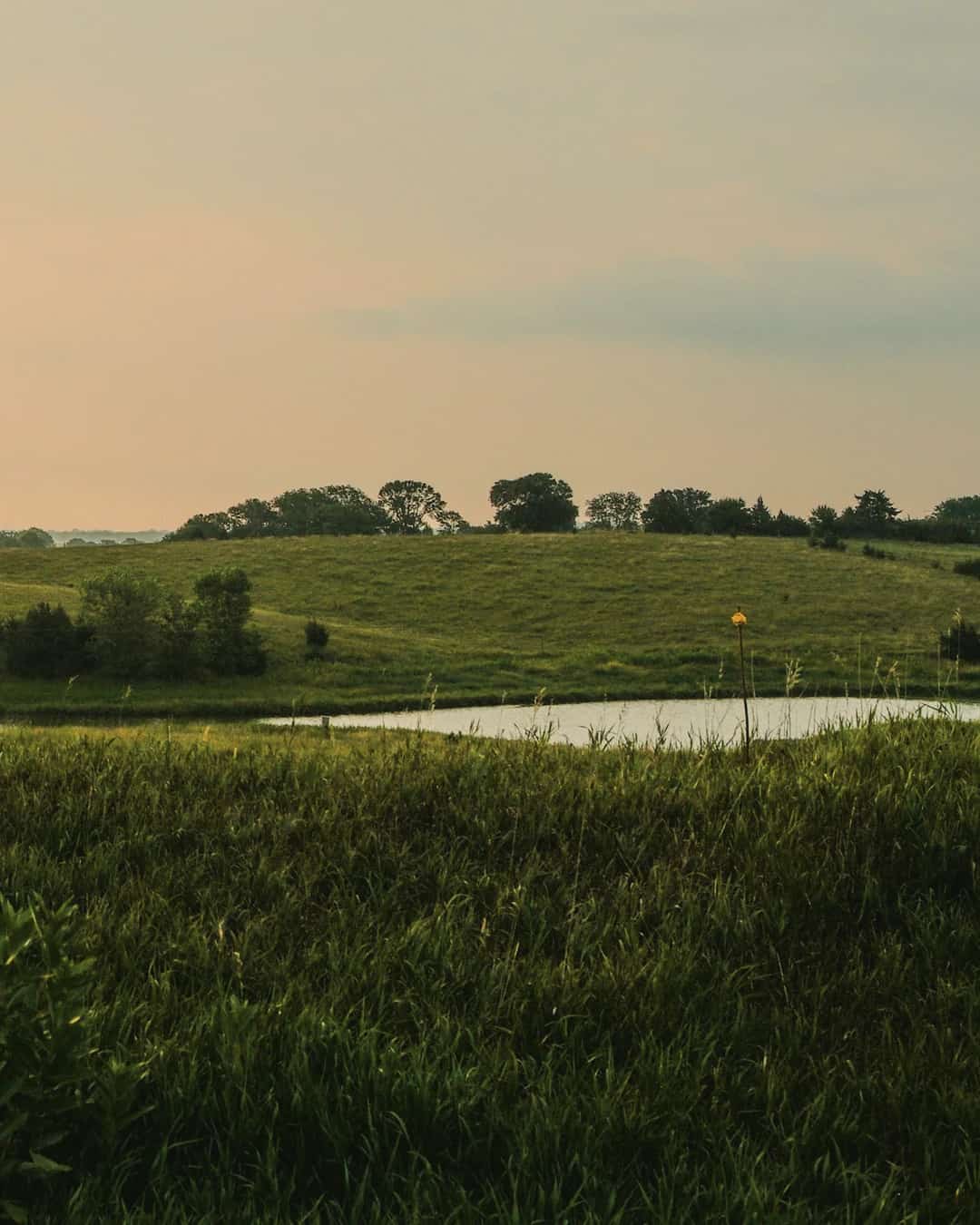 Rolling pasture with a stock pond, scattered trees and tall grass under a warm, hazy low sun.
