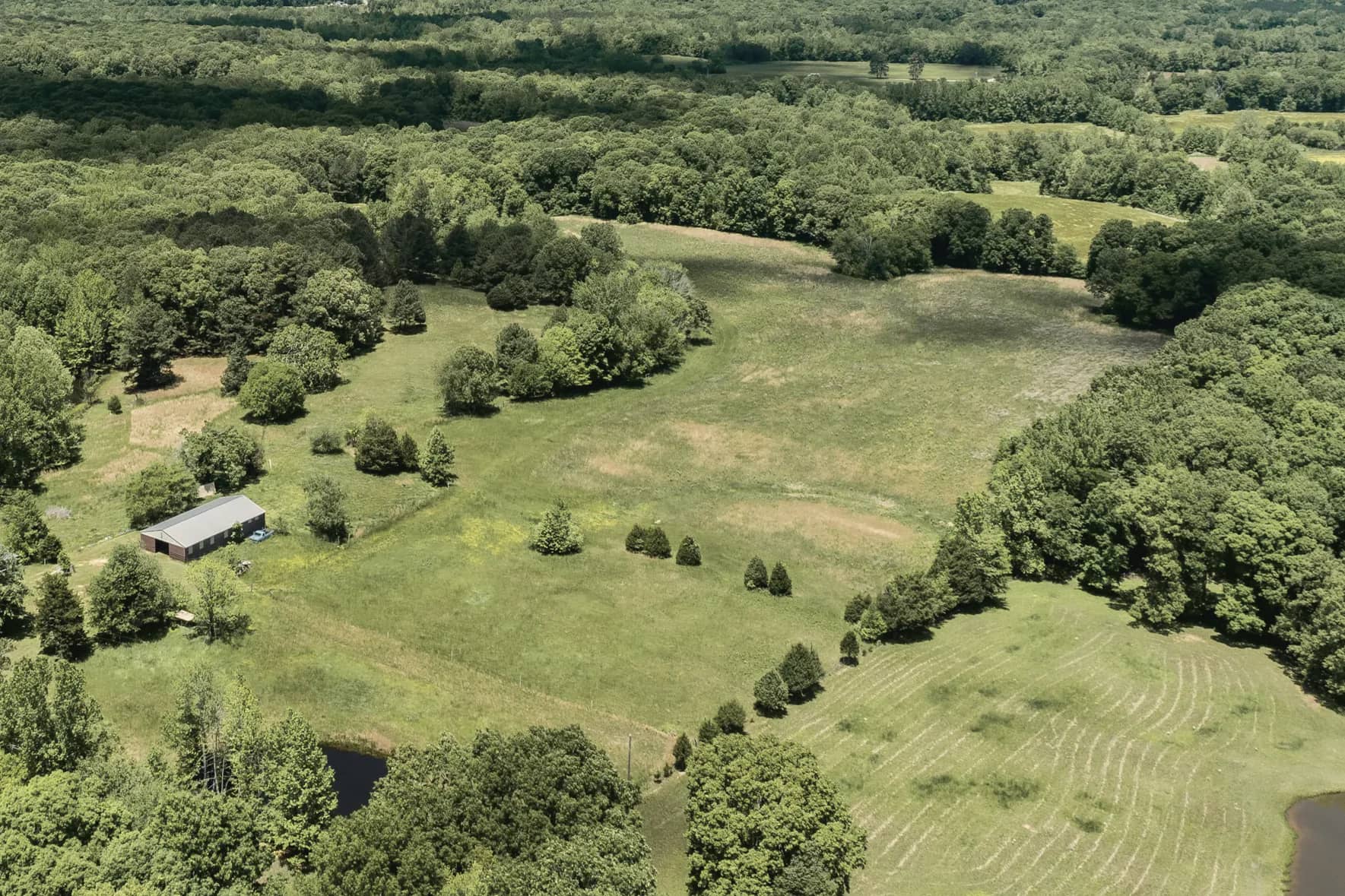 Aerial view of open pasture with scattered clusters of trees, a metal barn and two ponds, surrounded by woodland.