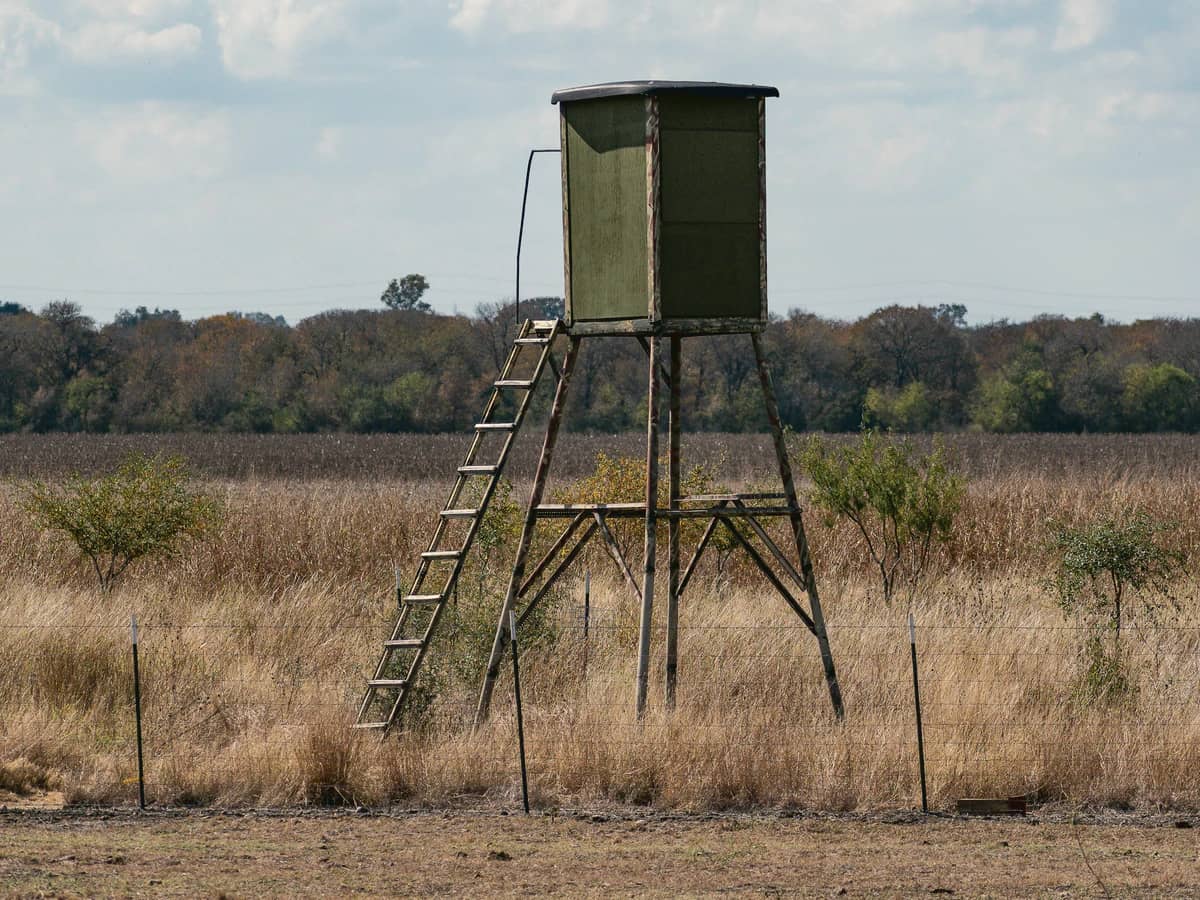 Elevated box blind on a wooden stand with a ladder, at the edge of a dry grass pasture behind a wire fence.