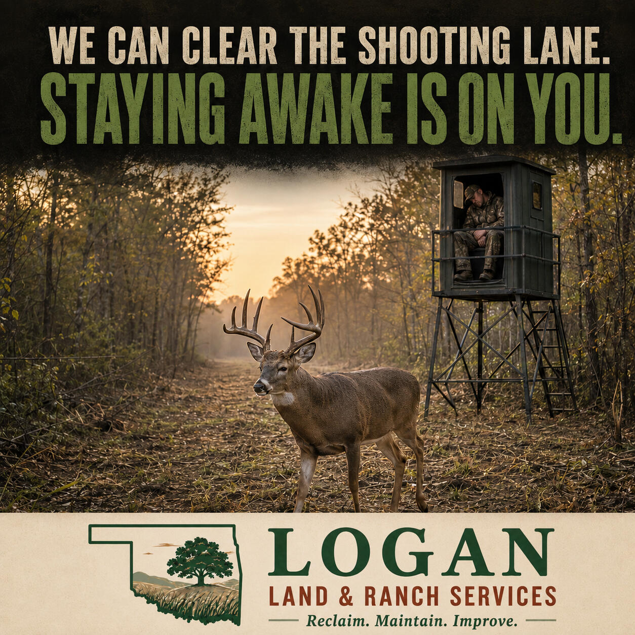 Brush hogging, Bush hoggin, pasture mowing, field mowing, land reclamation, land improvement, hunting lanes, ATV trails.